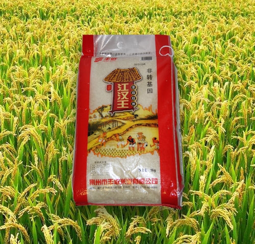 怒江江漢王
